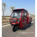 Tricycle Electric Trike for Passenger avec certification de CEE